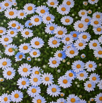 Daisies - Oil on canvas 40cmx40cm